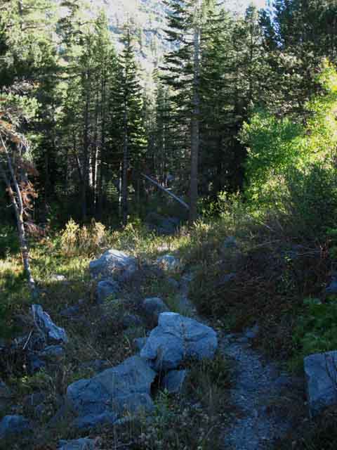 Tahoe to Yosemite Trail in Summit City Canyon.