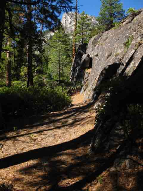Trail around Black Pond.