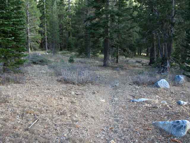 Last steps South to Summit City trail junction.