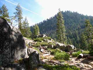 North up the Clarks Fork of the Stanislaus River.
