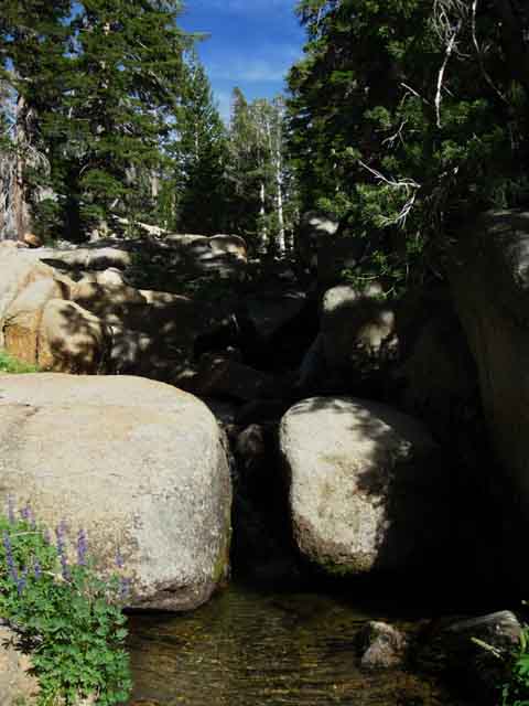 Clarks Fork of the Stanislaus River looking upstream from the upper ford.