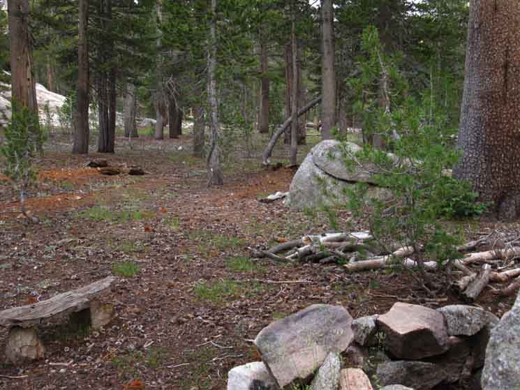 The upper campsite South of the middle ford of the Clarks Fork at Clarks Meadow.