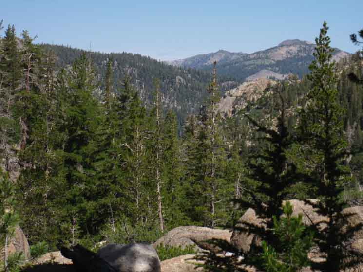Looking out at the river valley of the Clarks Fork below the North edge of Clarks Meadow.