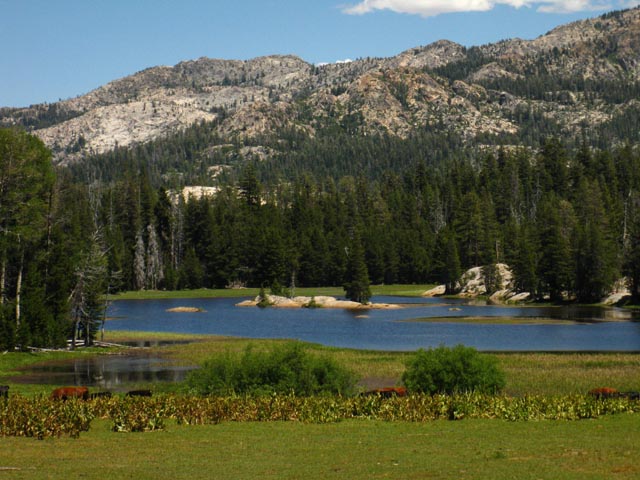 Duck Lake Detail.