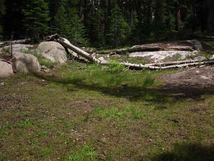 Meadow eats Tahoe to Yosemite Trail route through Clarks Fork of the Stanislaus River Canyon.