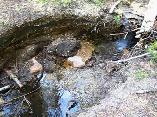 Small new drainage cutting through terrain.