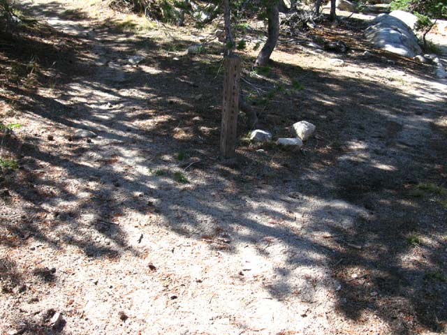 Rock Lake Trail junction on the Tahoe to Yosemite Trail.