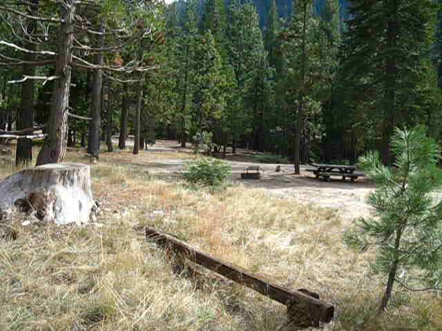 Hiking past the Sand Flat Campground on the Clarks Fork Road.