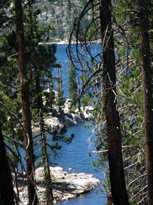 Tahoe to Yosemite Trail finally descending to level of Spicer Meadow Reservoir.
