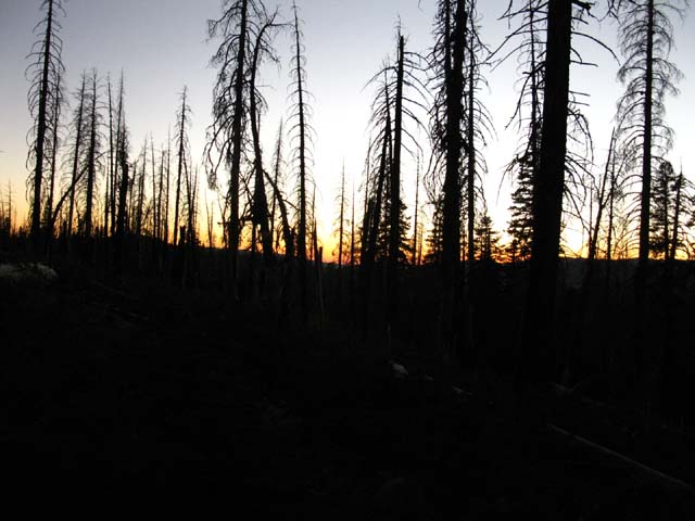 Sunset through the burned forest North of Rock Lake on the TYT.