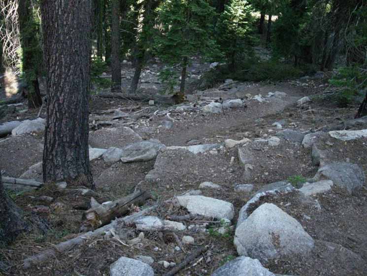 Trail climbing into Clarks Fork of the Stanislaus' canyon.