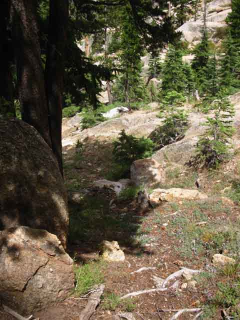 Wider views momentairly open up as we climb higher up the Clarks Fork of the Stanislaus River.