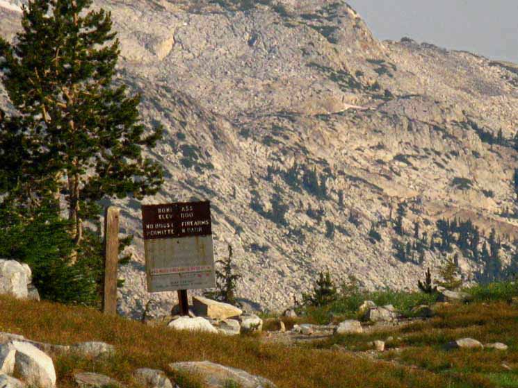 Bond Pass boundary between North Yosemite and High Emigrant Wilderness.