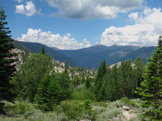 Middle Stanislaus Headwaters from Summit Creek.