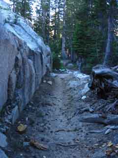 Emigrant Wilderness section of Tahoe to Yosemite Trail.