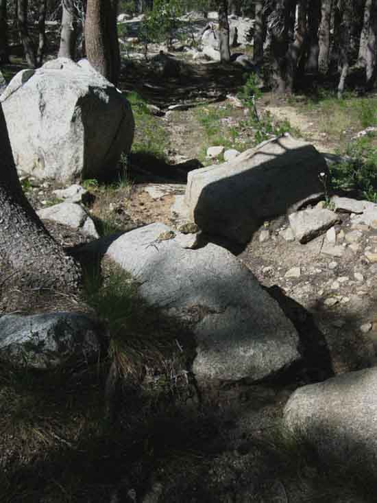 Trail down the West Flank of the Sierra to Tilltill Valley from the PCT-TYT in North Yosemite.