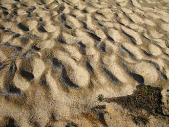 Bensen Lake beach with morning frost, late September, 2009