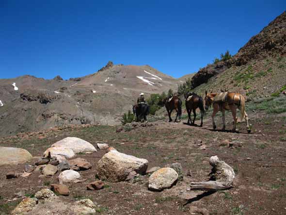 Kennedy Meadows Horsemen and pack trail through Brown Bear Pass.