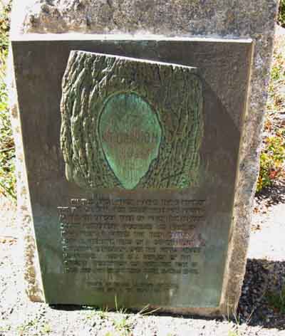 Kit Carson Tree Carving historical monument at Carson Pass.