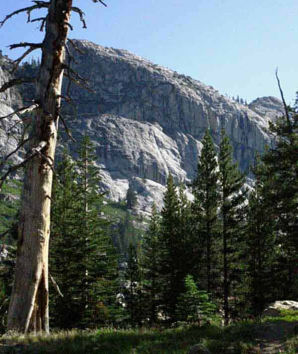 Granite wall of Kerrick Canyon beyond meadow and above forest.