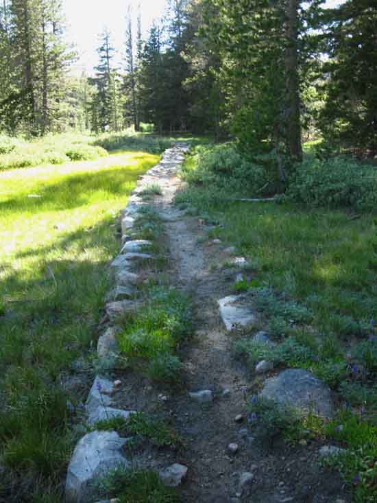 Improved, raised meadow trail through Lower Jack Main Canyon.
