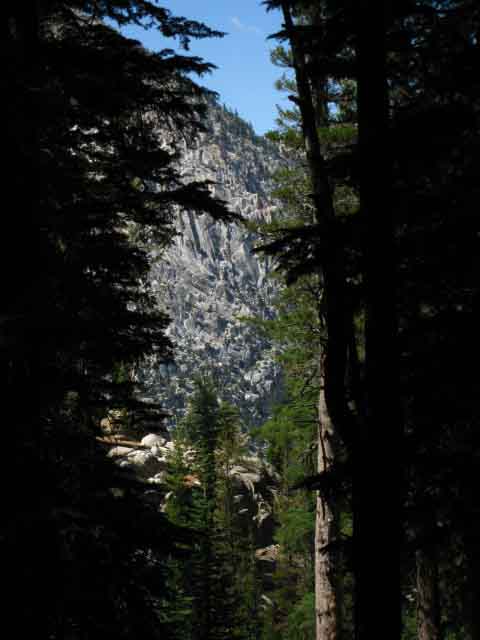 Glimpse of West wall of Matterhorn Canyon through dense forest.
