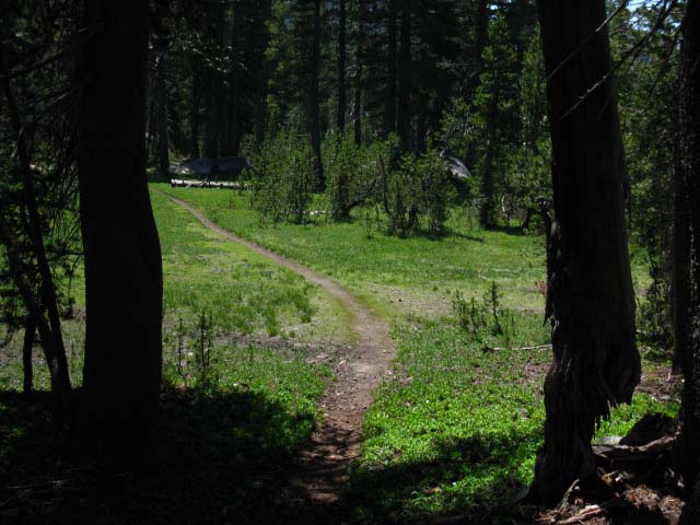 Meadow between Tilden and Wilmer Lake trail junctions, Yosemite.