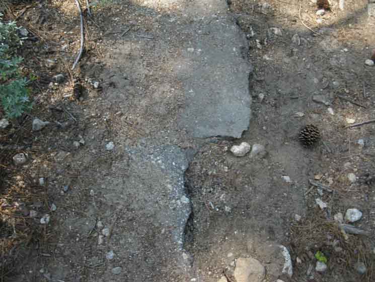 Pavement remnants at Lake Eleanor Road above above Hetch Hetchy.
