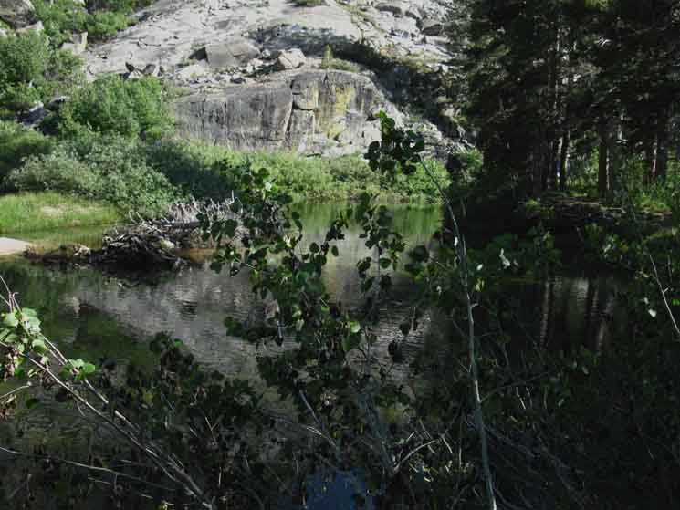 Small pond in Jack Main Canyon below Andrews Peak.