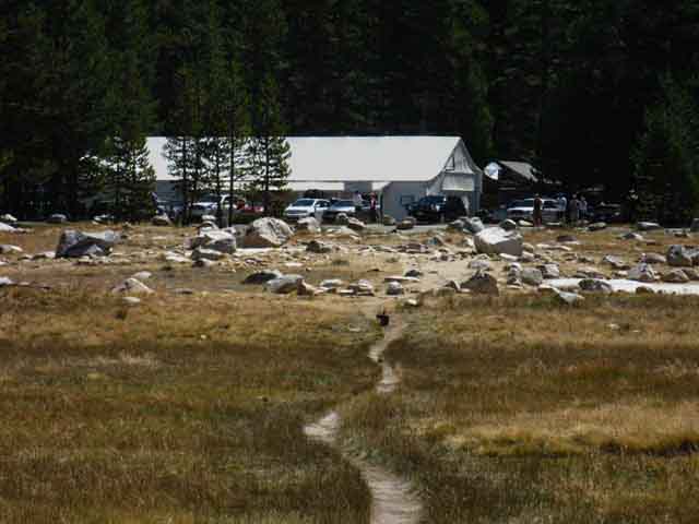 Crossing Tuolumne Meadows approaching the Store, Post Office, and Grill.