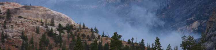 Wildcat fire burns in the Grand Canyon of the Tuolumne River, August 2009.