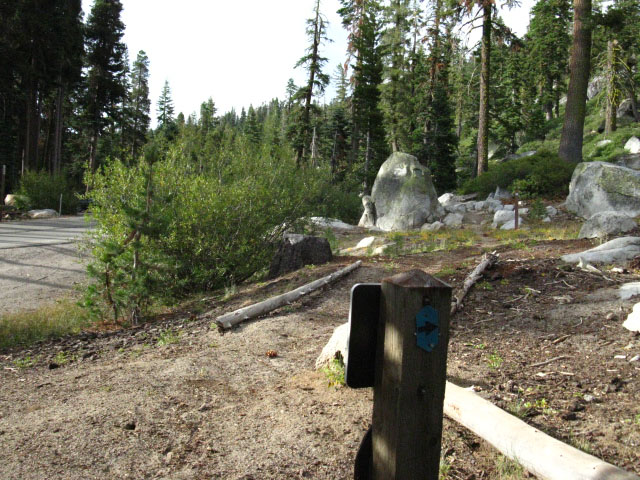 Hiking South on the Pacific Crest and Tahoe to Yosemite Trails into Echo Summit