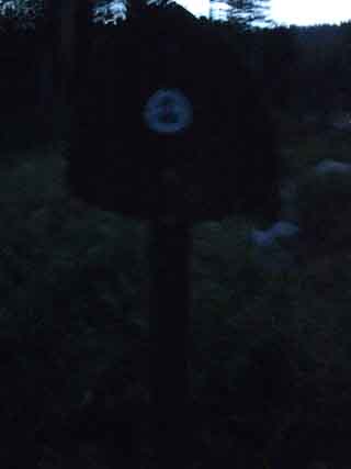 Pacific Crest Trail Sign, South side of Highway 50, just East of Little Norway