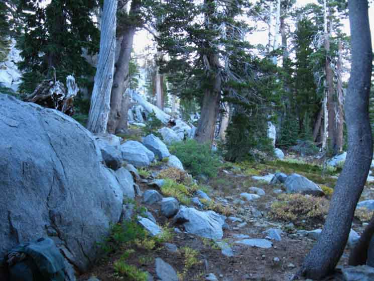 View from north Fontanillis Lake campsite