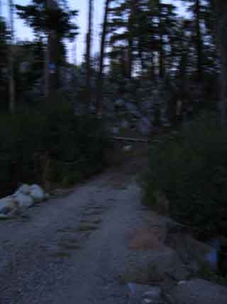 Pacific Crest Trail road on South side of Hwy 50