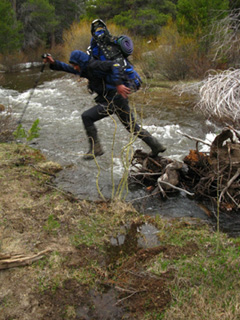 The trunk of the ford tree is getting cut away from the bank, and will soon (years) be unusable. Eventually you will have to wade. But for now you've a jump.