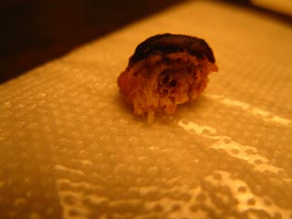 Front view of bone fragment