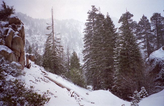 Spring Trip, Day two: Trail obscured
