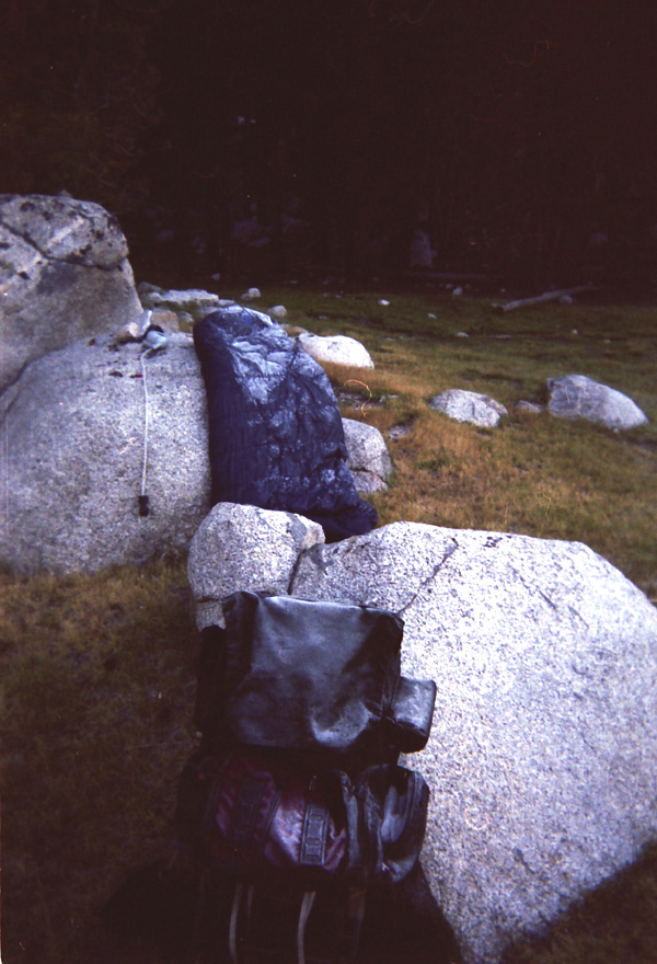 Evolution Valley, John Muir Trail: Heavy dew fall followed by heavy frosting