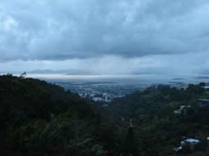 Looking at Berkeley and the San Francisco Bay through Strawberry Canyon.