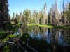 Rock Lake, Tahoe to Yosemite Trail, Carson Iceberg Wilderness