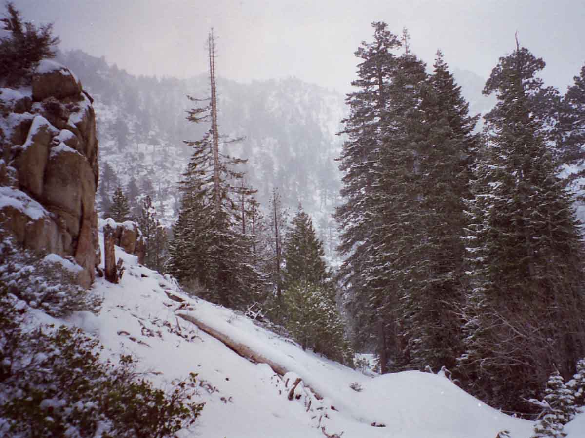 East Carson River just below PCT under April Snow.