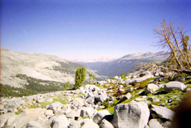 Lyell Canyon from near the top of Donohue Pass.