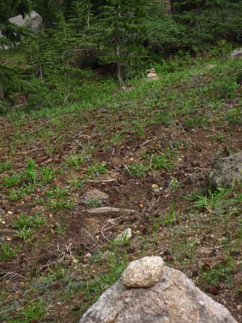 Sets of duciks line up route.