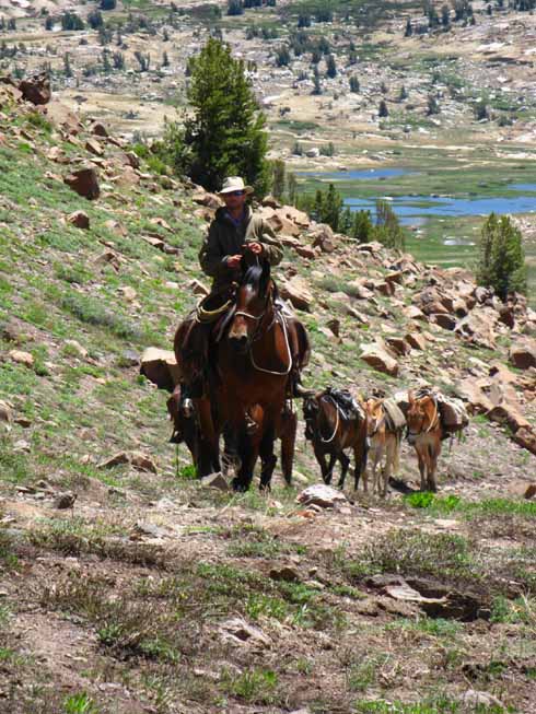 Colin riding out of Emigrant Meadow into Brown Bear Pass.