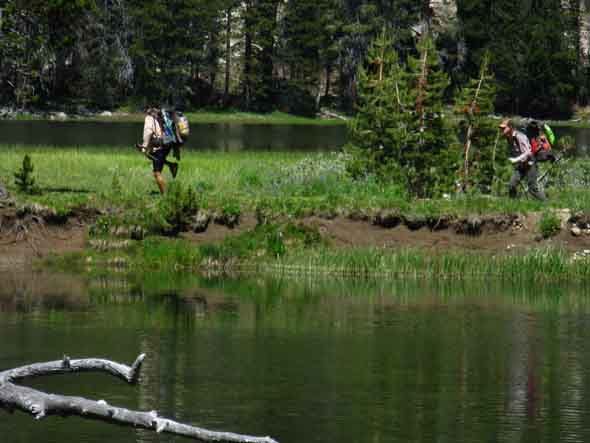 PCT hikers between Wilmer Lake and Falls Creek in the Yosemite back country.